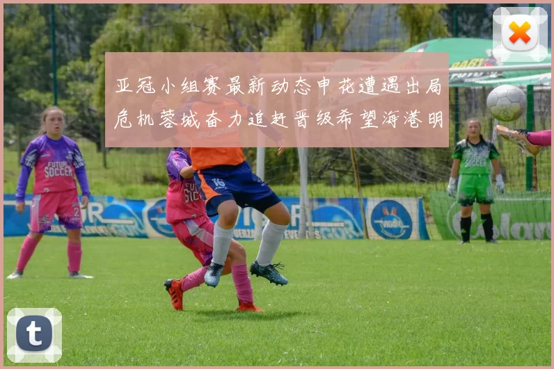 亚冠小组赛最新动态申花遭遇出局危机蓉城奋力追赶晋级希望海港明日迎战挑战